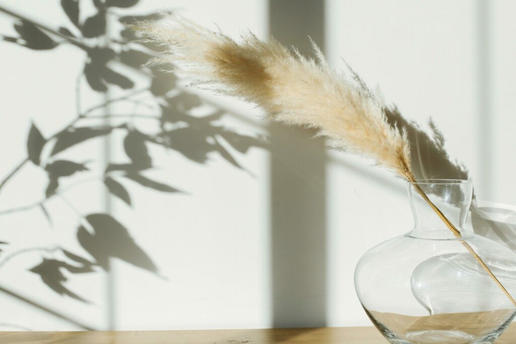 pexels-photo-5797998-5797998 Dried pampas grass in glass vase placed on table against white wall with shadows